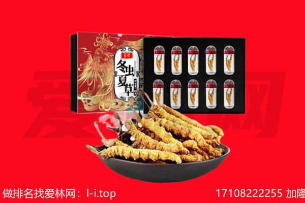 库车市回收虫草.jpg